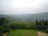 DSC00559.JPG