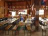 DSC01515.JPG